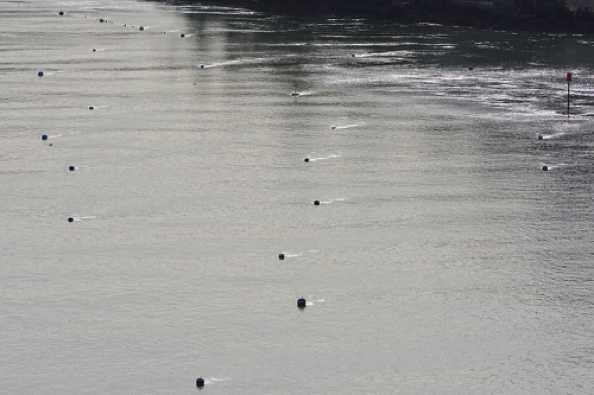 07 April 2020 - 09-49-52 
The line behind the buoys indicate the direction the river is flowing.
--------------------
River Dart tide